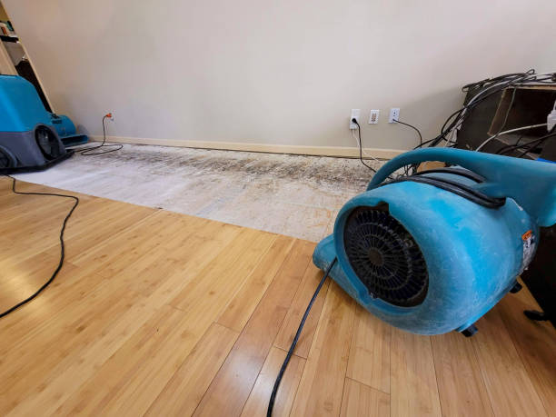 Professional Sewage Cleanup technician working in Walling, TN